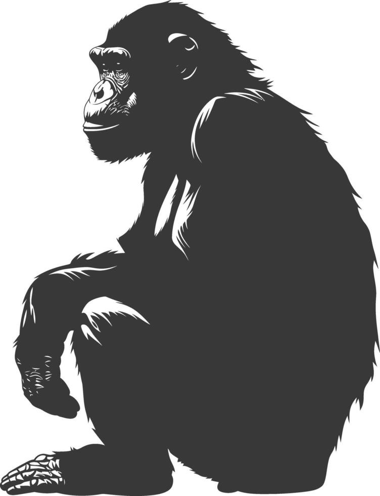 Silhouette Chimpanzee animal black color only vector