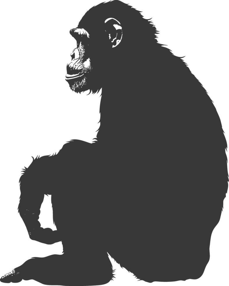 Silhouette Chimpanzee animal black color only vector