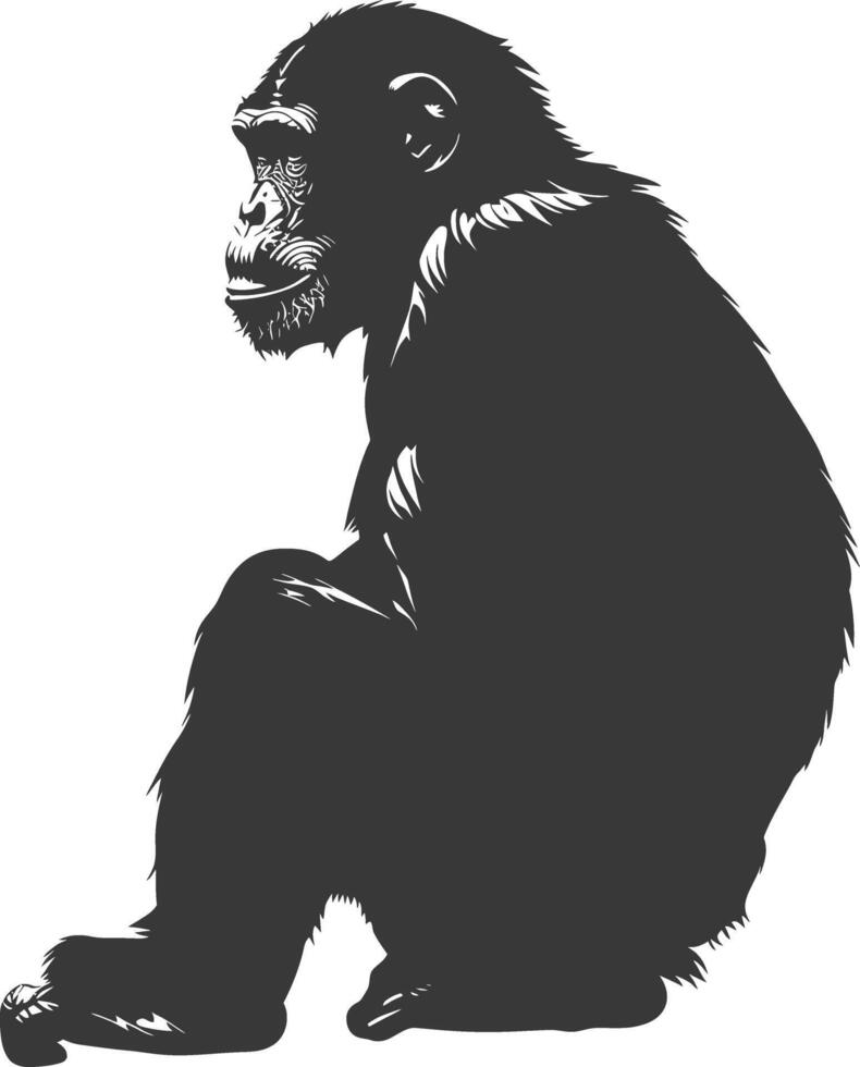 Silhouette Chimpanzee animal black color only vector