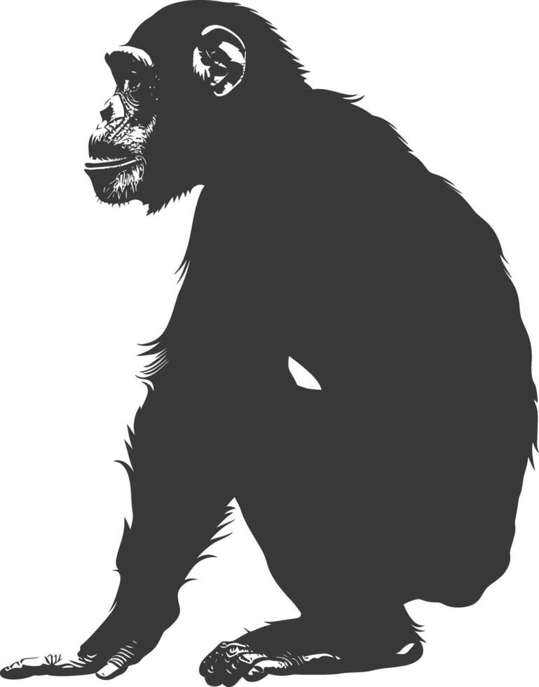 Silhouette Chimpanzee animal black color only vector