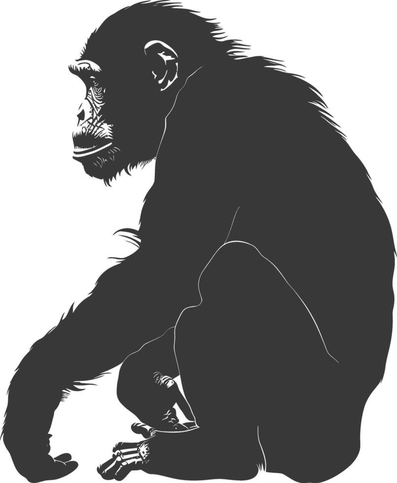 Silhouette Chimpanzee animal black color only vector