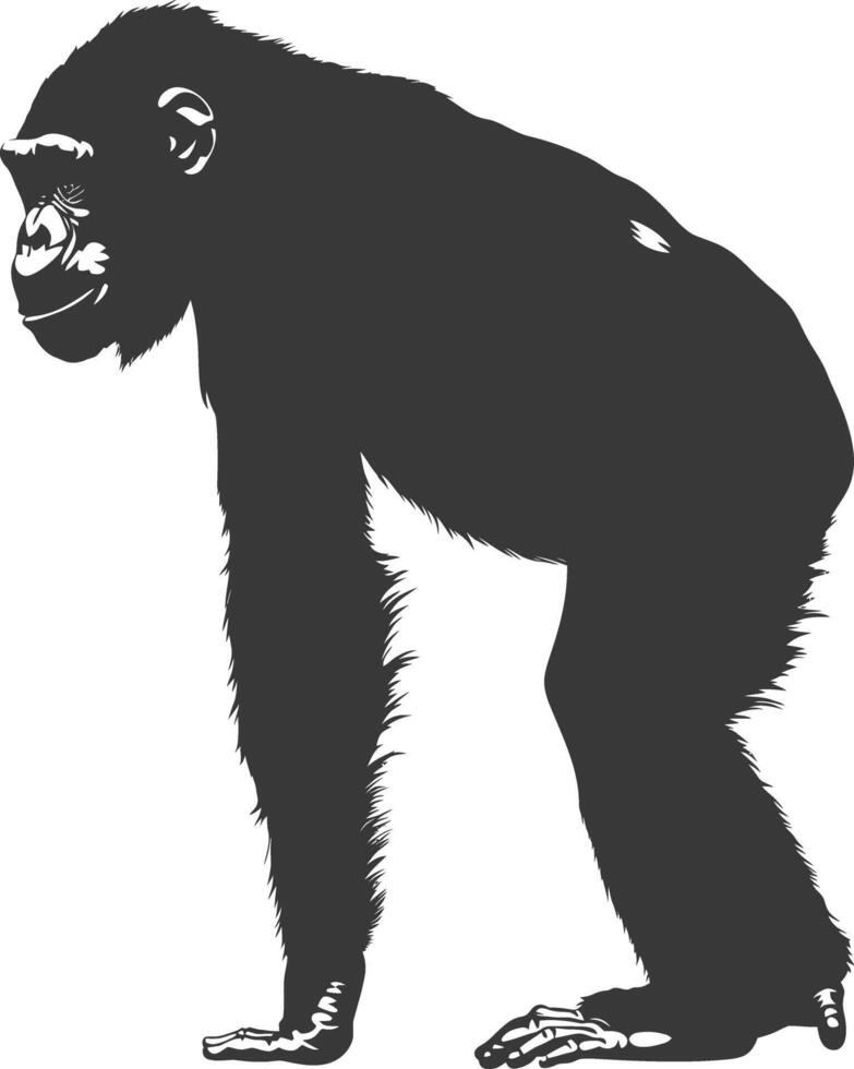 Silhouette Chimpanzee animal black color only vector