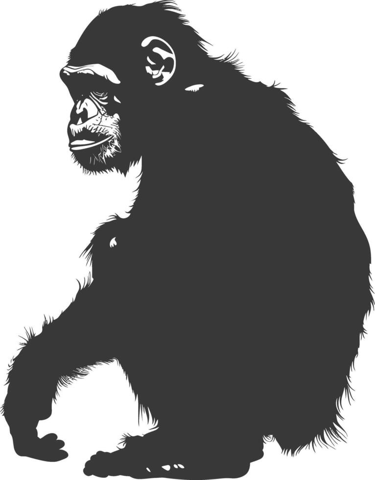 Silhouette Chimpanzee animal black color only vector