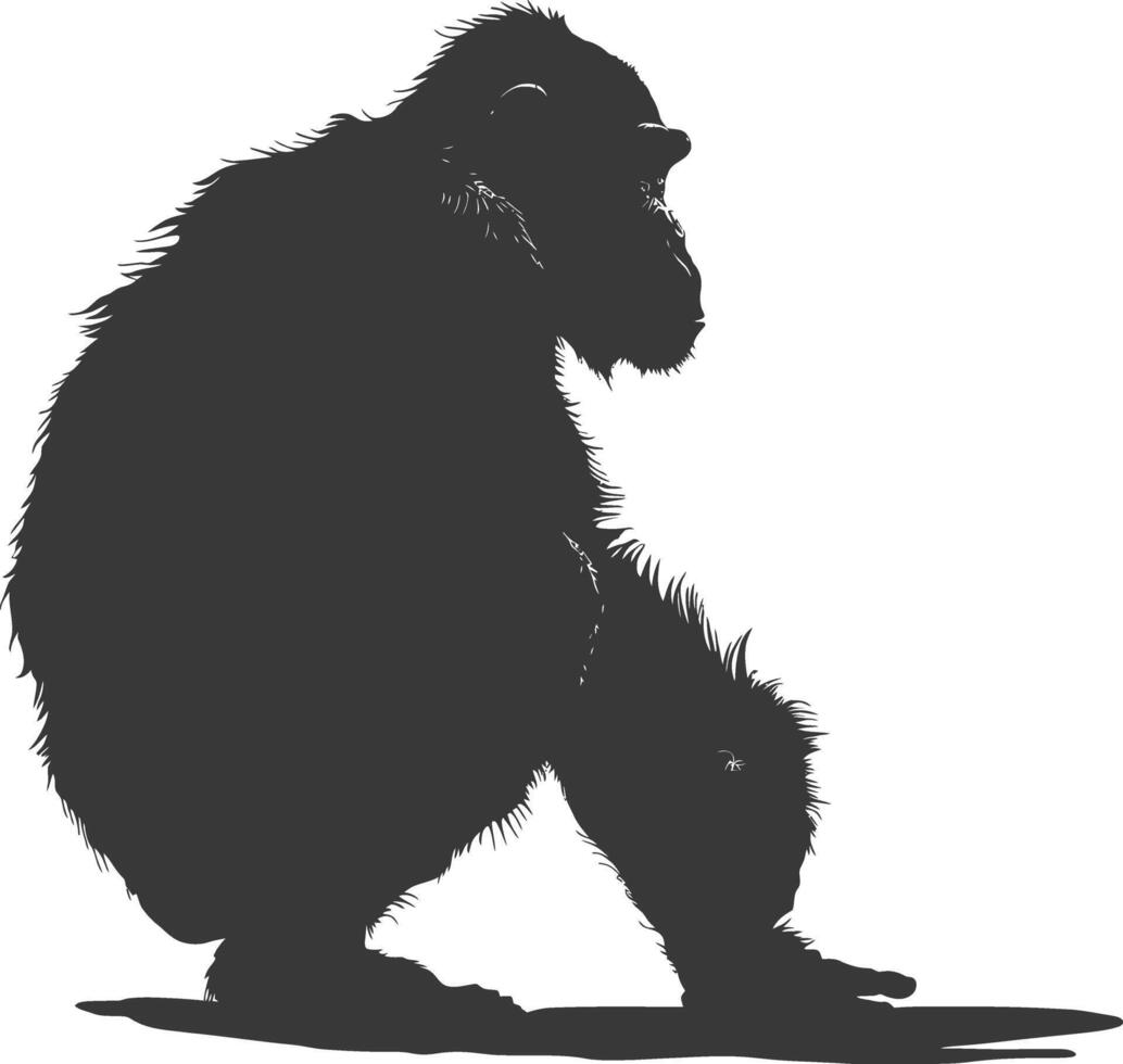 Silhouette Chimpanzee animal black color only vector