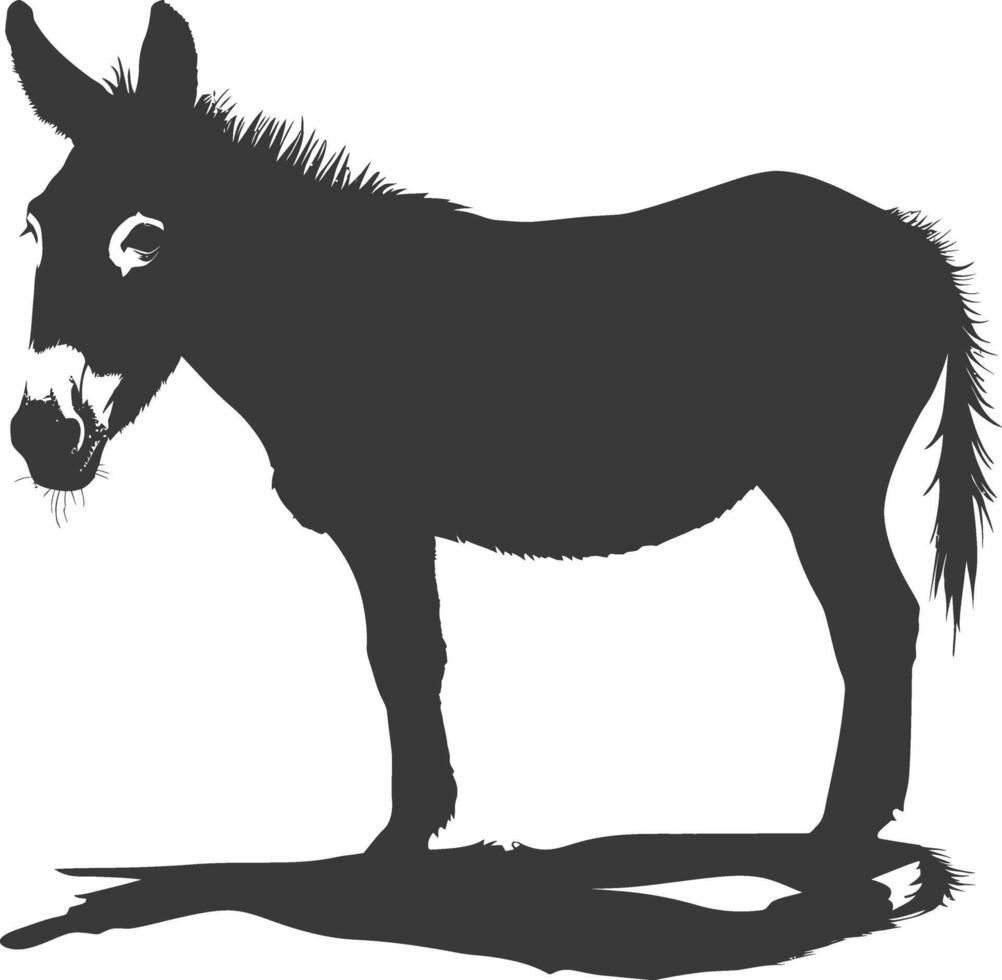 Silhouette donkey animal black color only vector