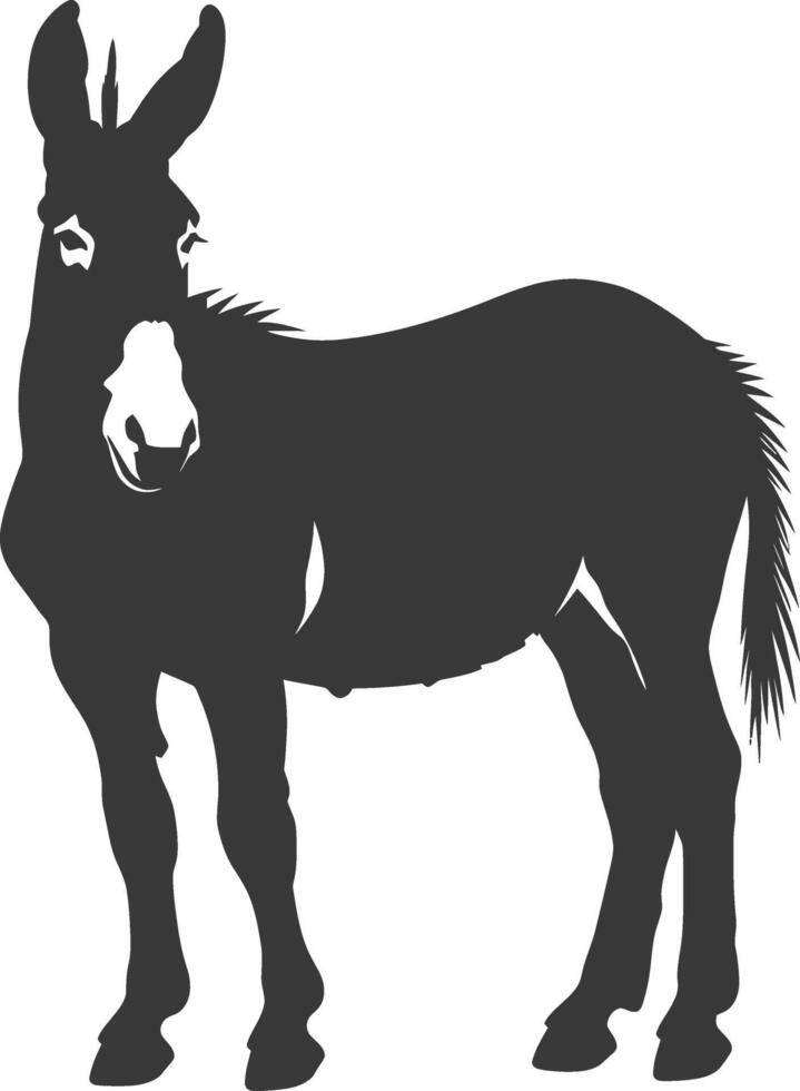 Silhouette donkey animal black color only vector