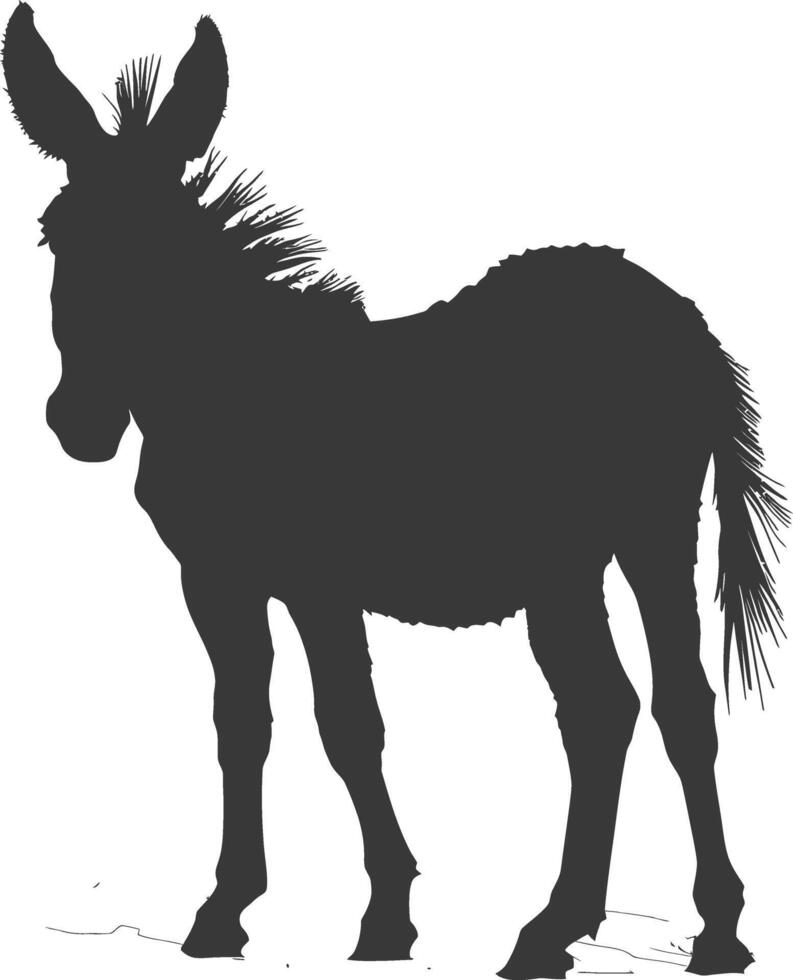 Silhouette donkey animal black color only vector