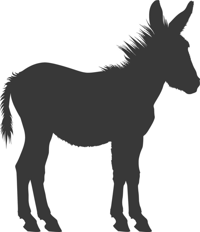 Silhouette donkey animal black color only vector