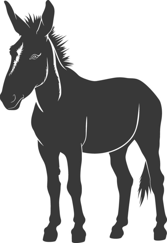 Silhouette donkey animal black color only vector