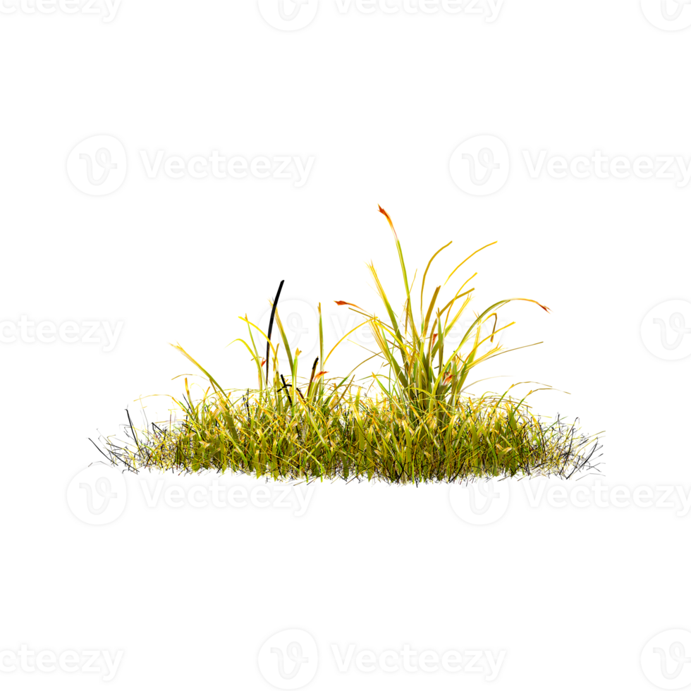 collection of Cattail Plant with realistic style png