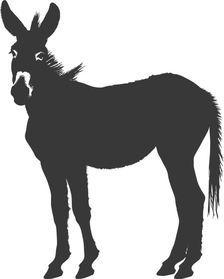 Silhouette donkey animal black color only vector