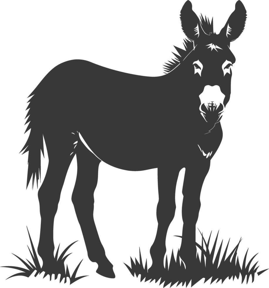Silhouette donkey animal black color only vector