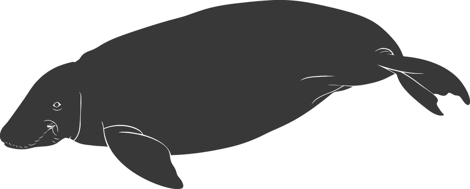 Silhouette dugong animal black color only vector