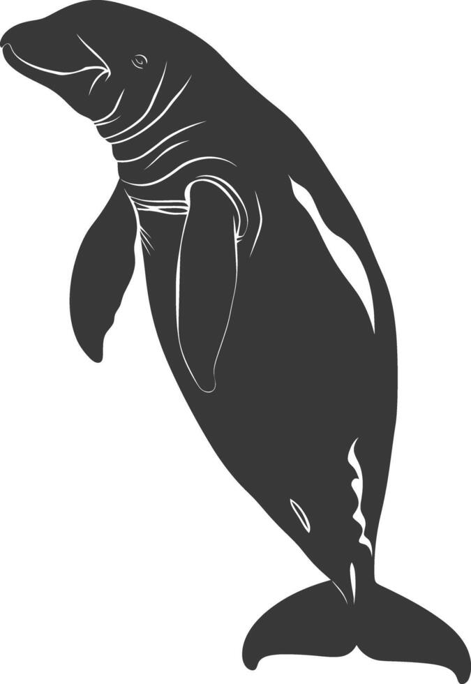 Silhouette dugong animal black color only vector