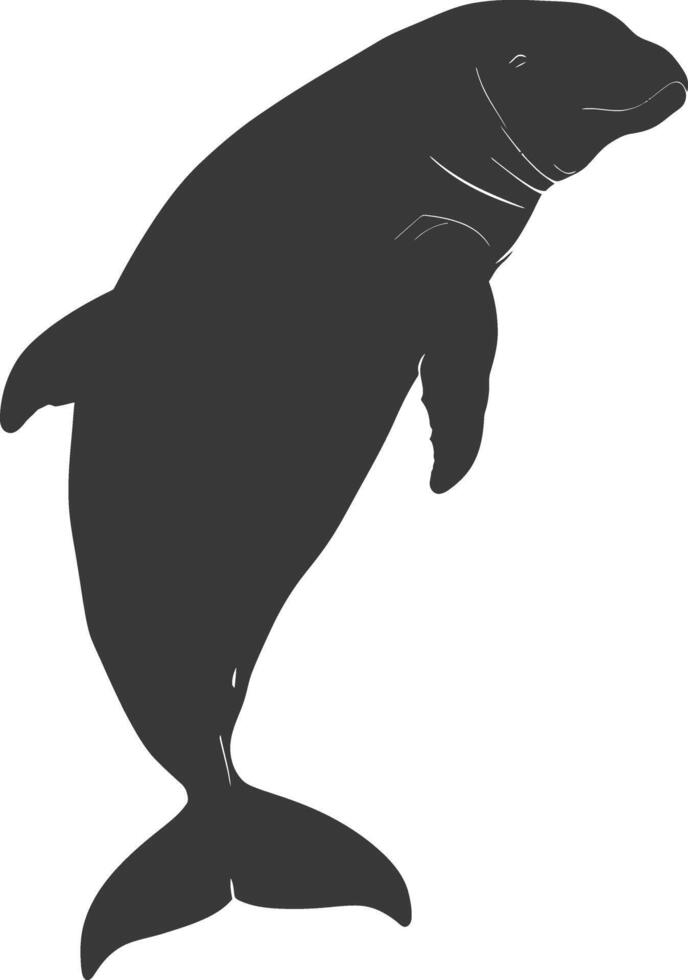Silhouette dugong animal black color only vector