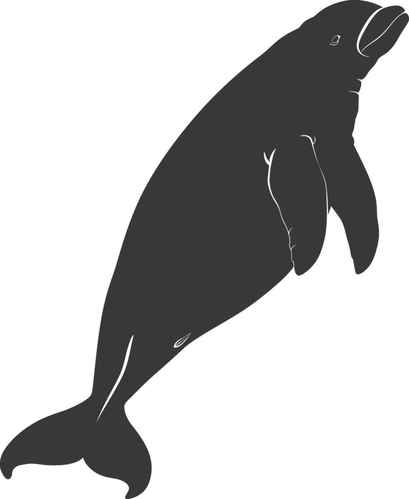 Silhouette dugong animal black color only vector