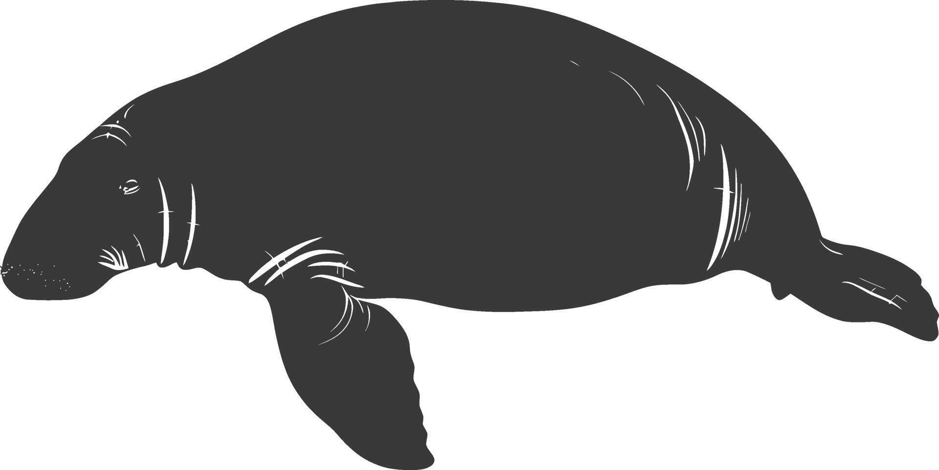 Silhouette dugong animal black color only vector
