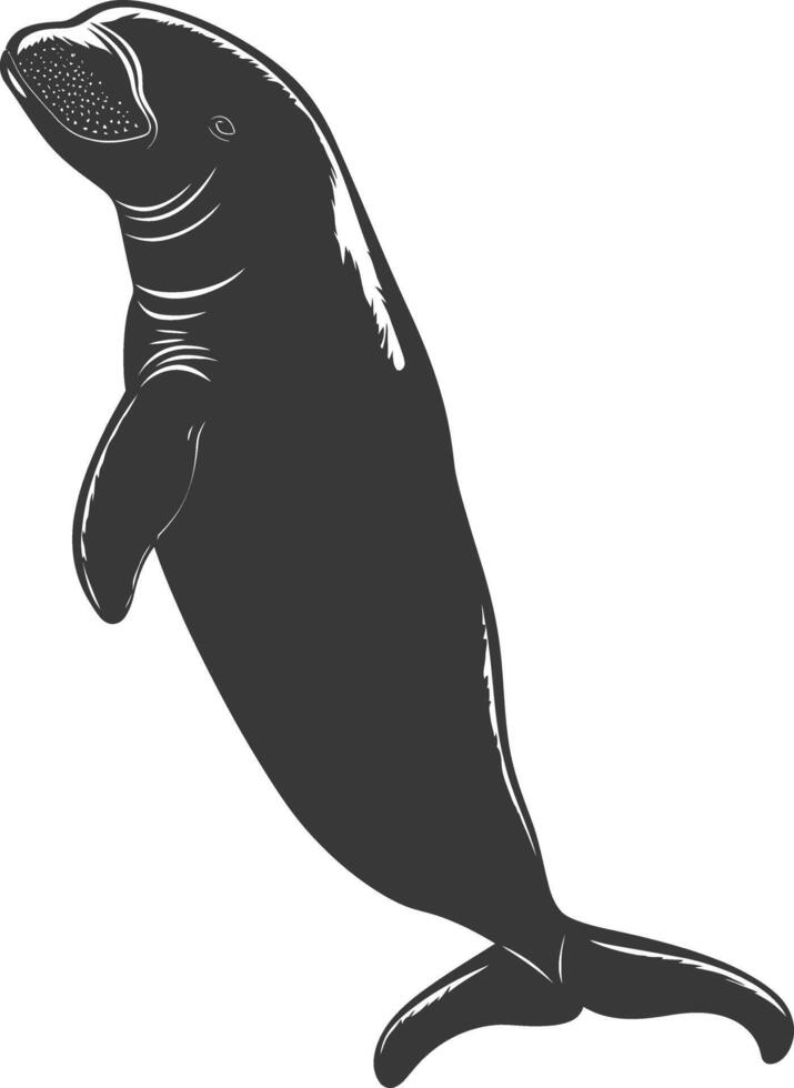 Silhouette dugong animal black color only vector