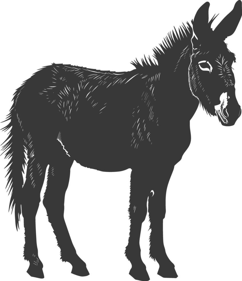 Silhouette donkey animal black color only vector