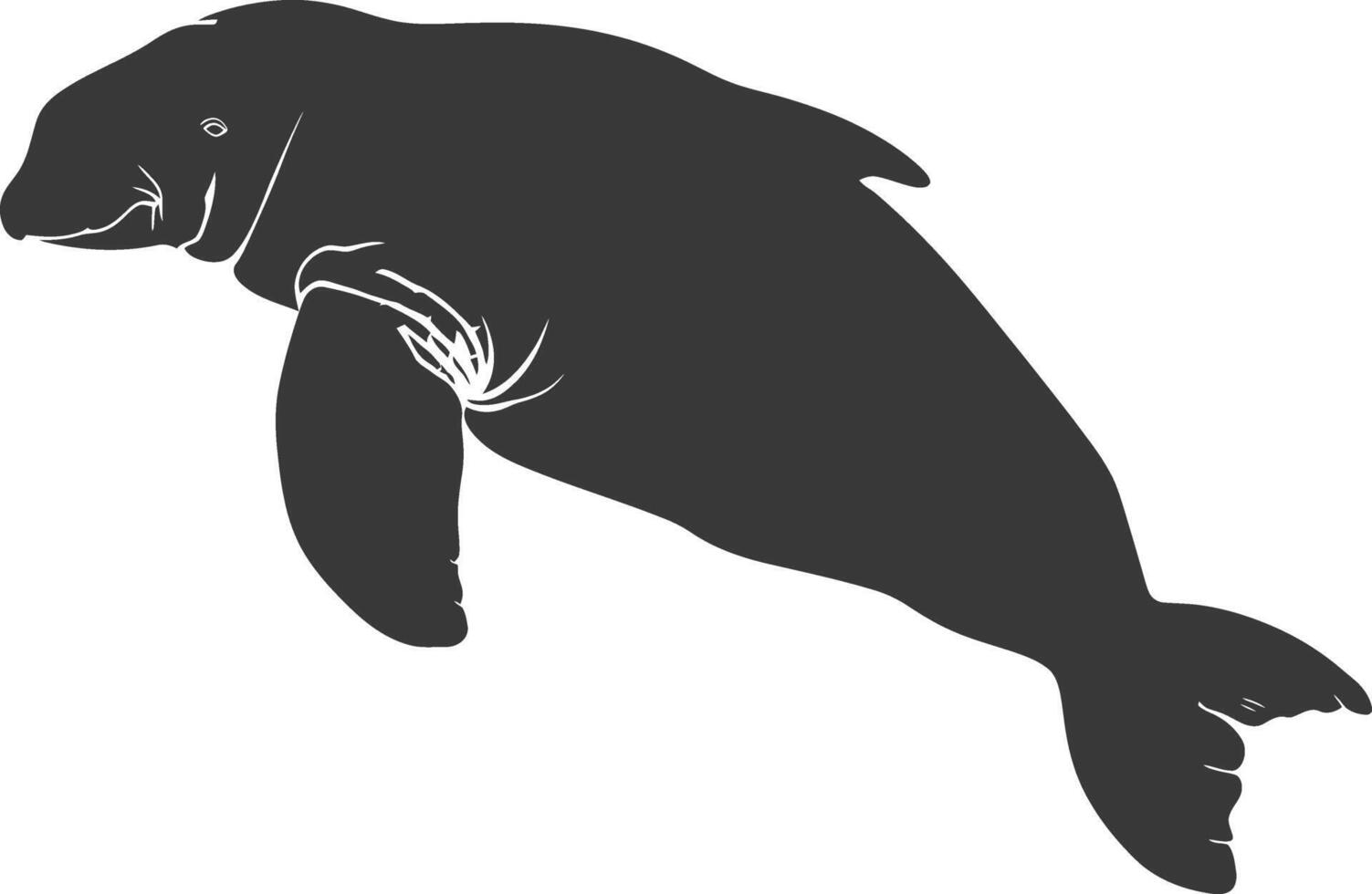 Silhouette dugong animal black color only vector