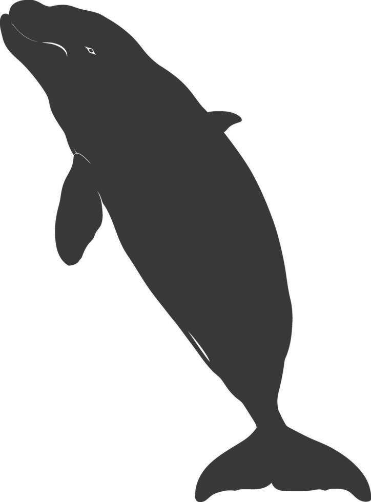 Silhouette dugong animal black color only vector