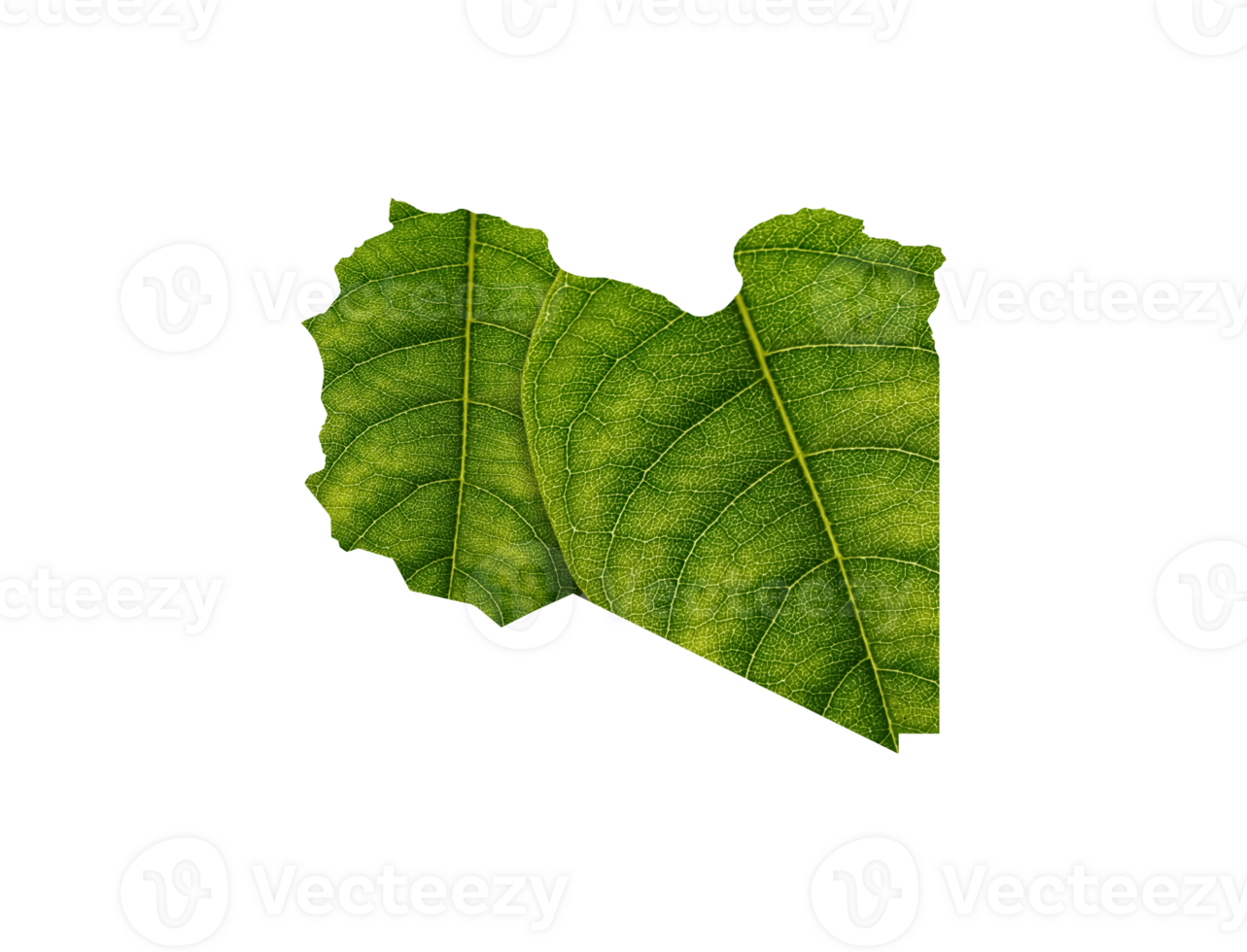 Libya map made of green leaves ecology concept png