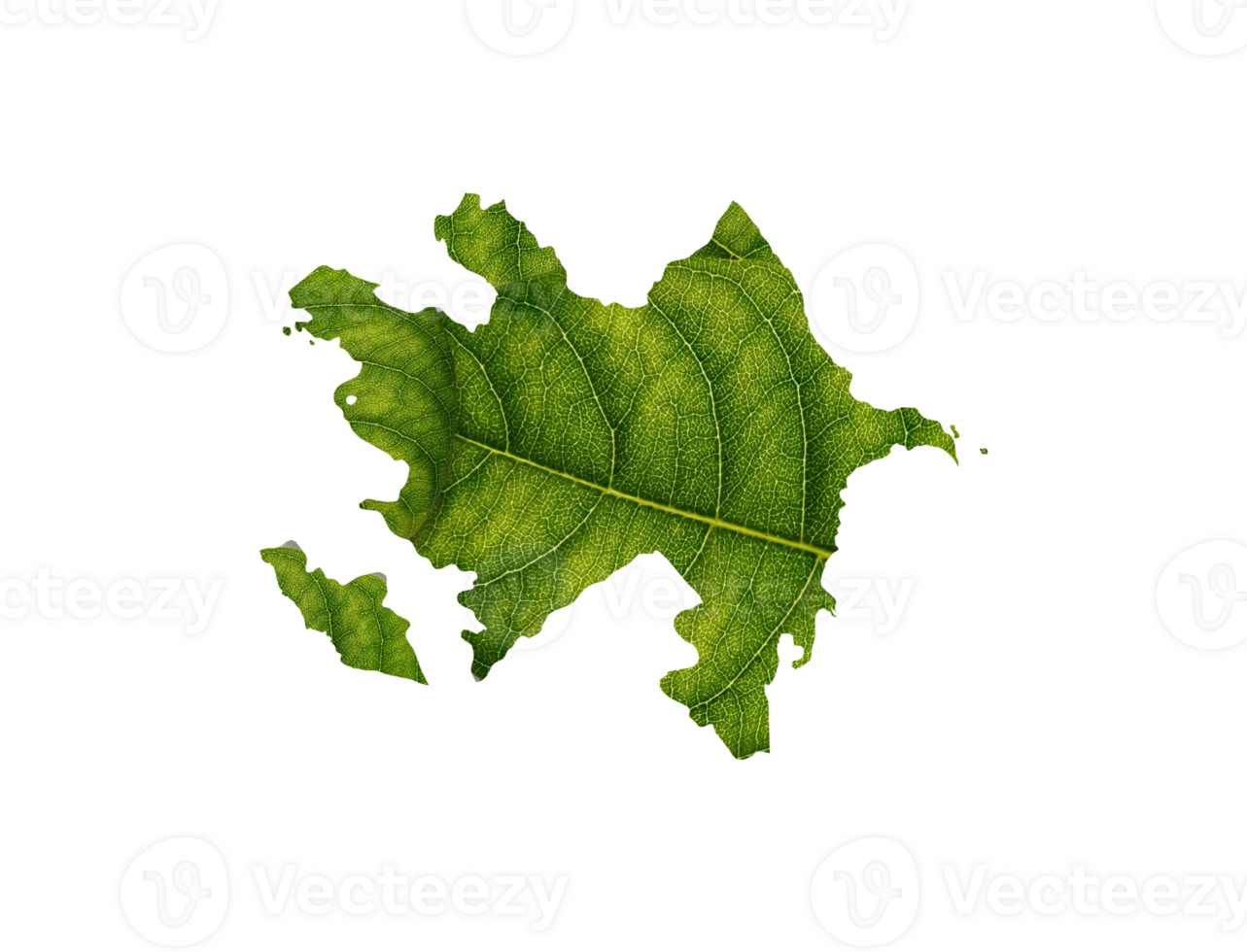 Azerbaijan map made of green leaves, concept ecology Map green leaf png