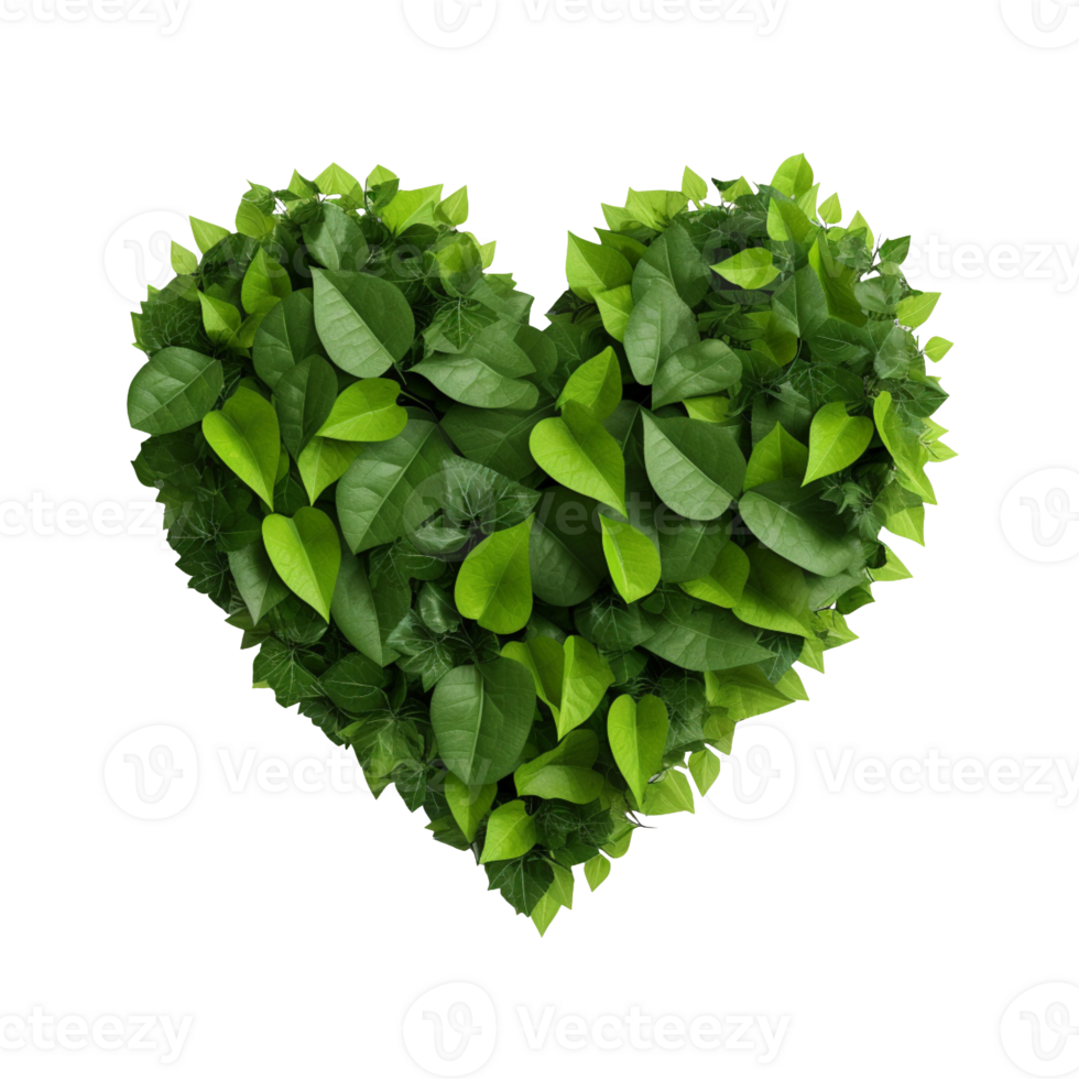 Green heart made of leaves isolated on transparent background png