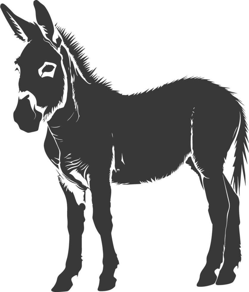 Silhouette donkey animal black color only vector