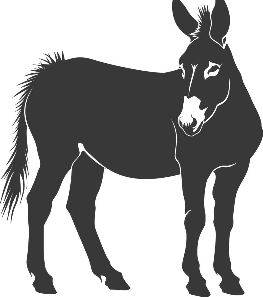Silhouette donkey animal black color only vector