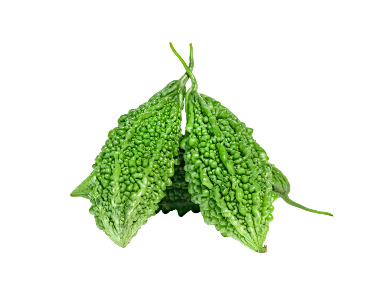 Bitter gourd or Bitter melon or Momordica charantia isolated png