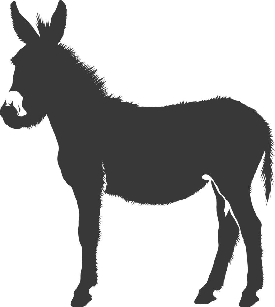 Silhouette donkey animal black color only vector
