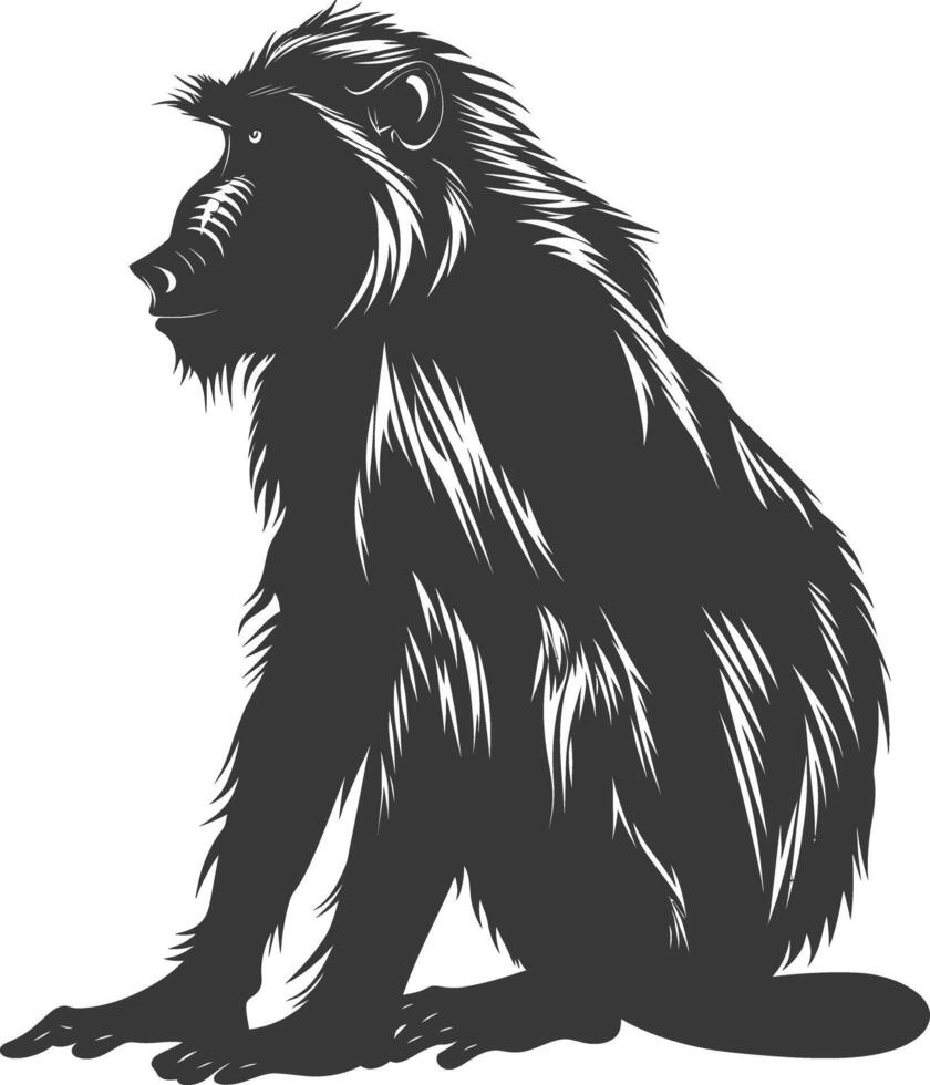Silhouette Mandrill animal black color only vector