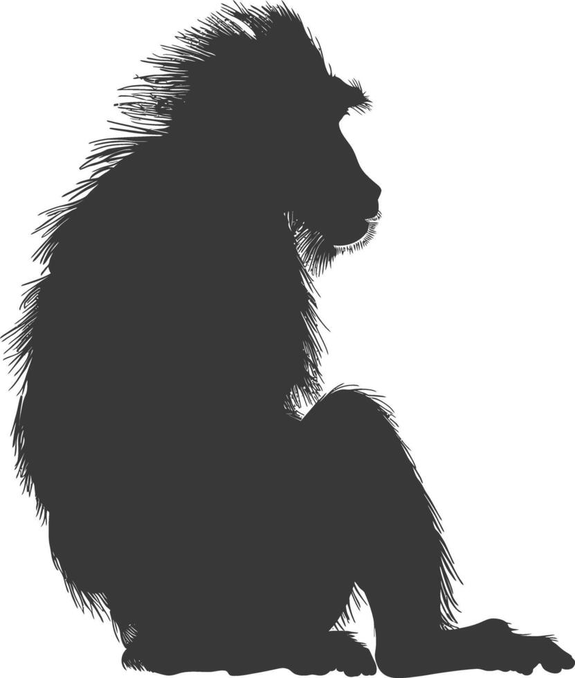 Silhouette Mandrill animal black color only vector