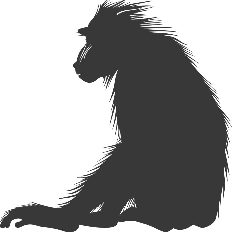 Silhouette Mandrill animal black color only vector