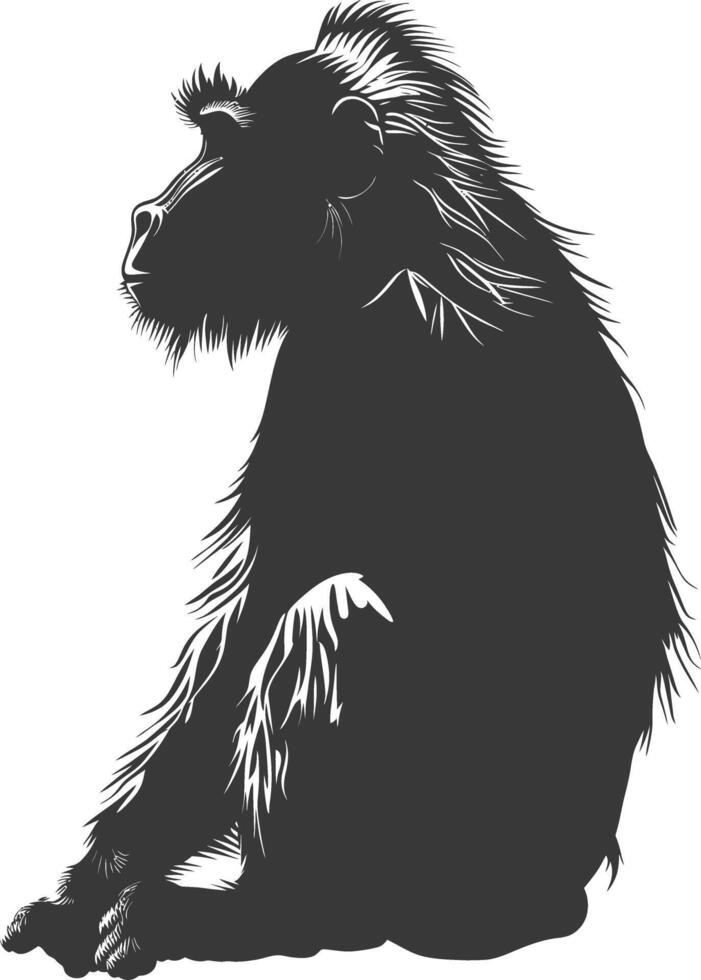 Silhouette Mandrill animal black color only vector