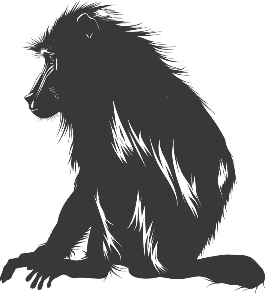 Silhouette Mandrill animal black color only vector