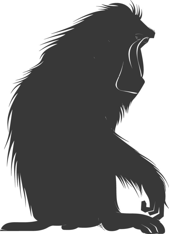 Silhouette Mandrill animal black color only vector