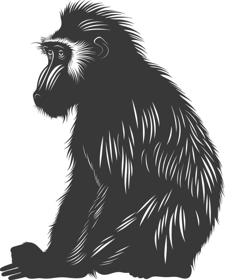 Silhouette Mandrill animal black color only vector