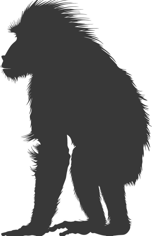 Silhouette Mandrill animal black color only vector