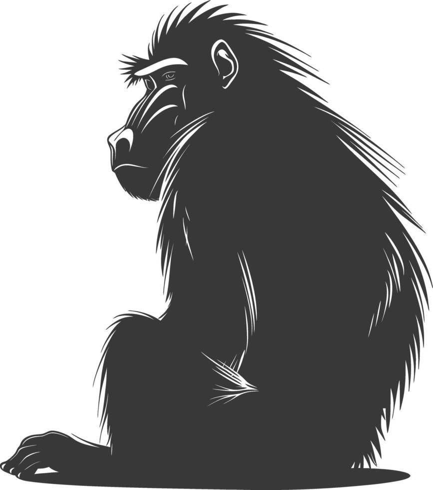 Silhouette Mandrill animal black color only vector