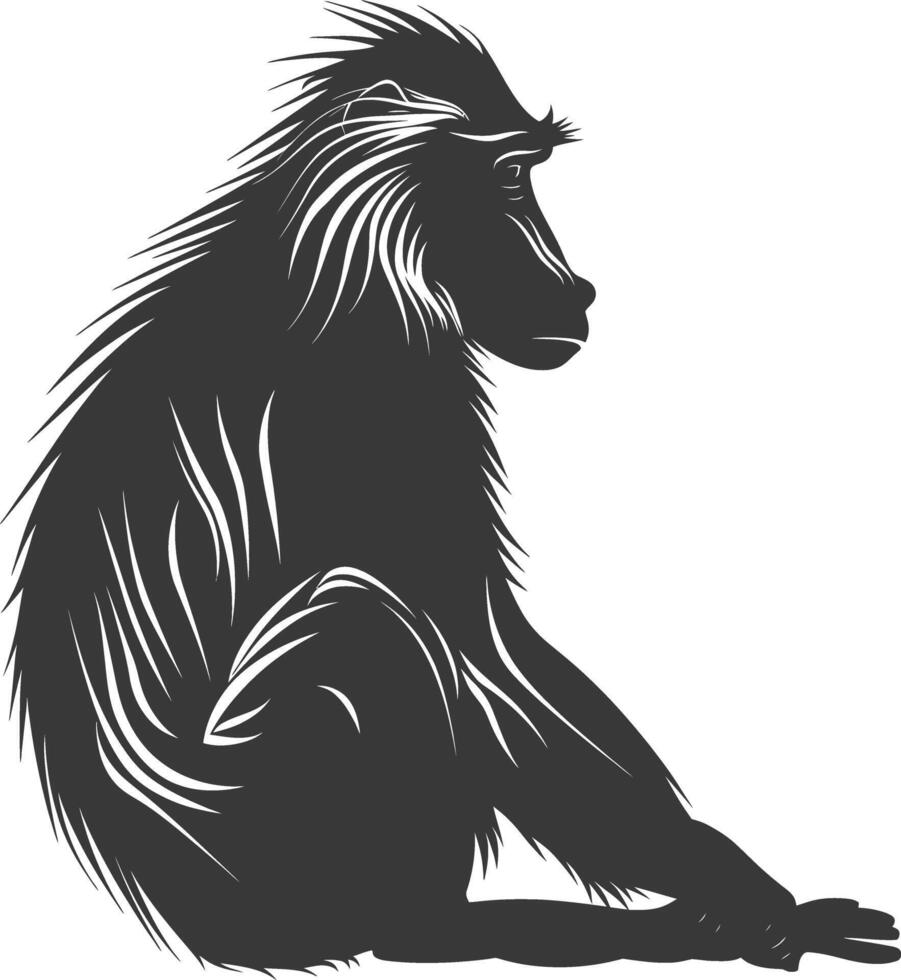 Silhouette Mandrill animal black color only vector