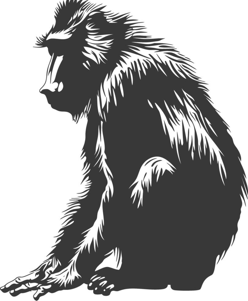 Silhouette Mandrill animal black color only vector