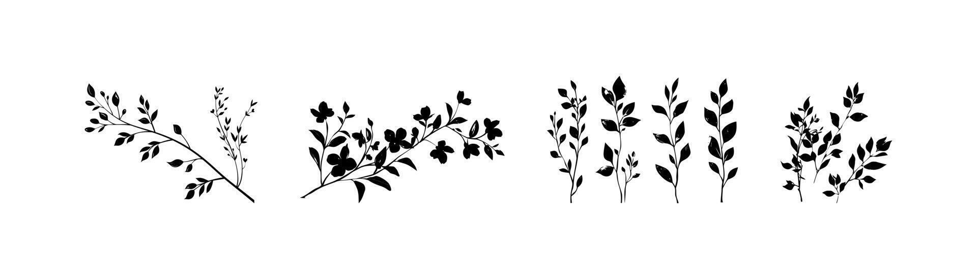 Black and White Silhouette of Botanical Branches vector