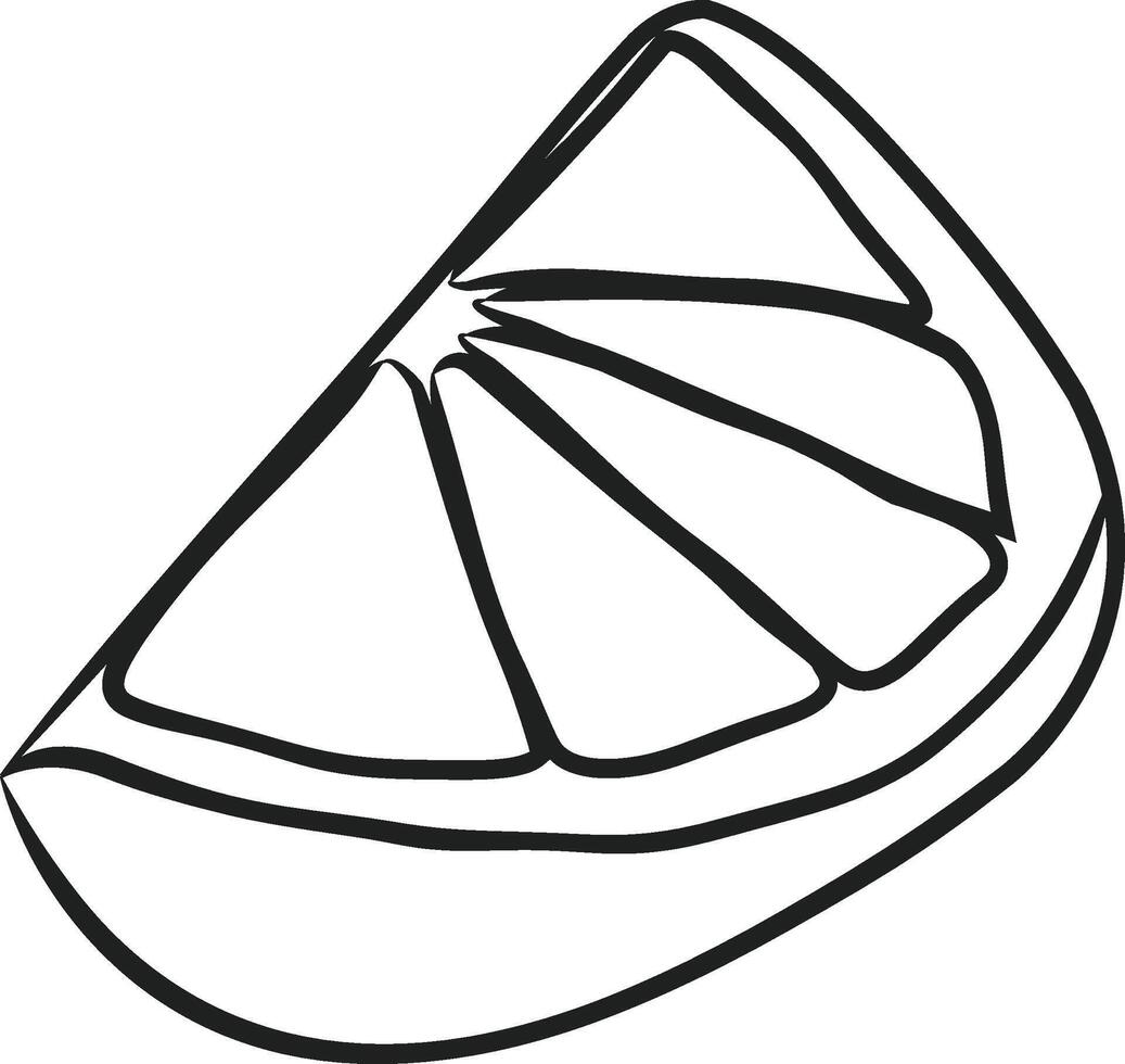 Orange slices line art are suitable for children's coloring books, vector