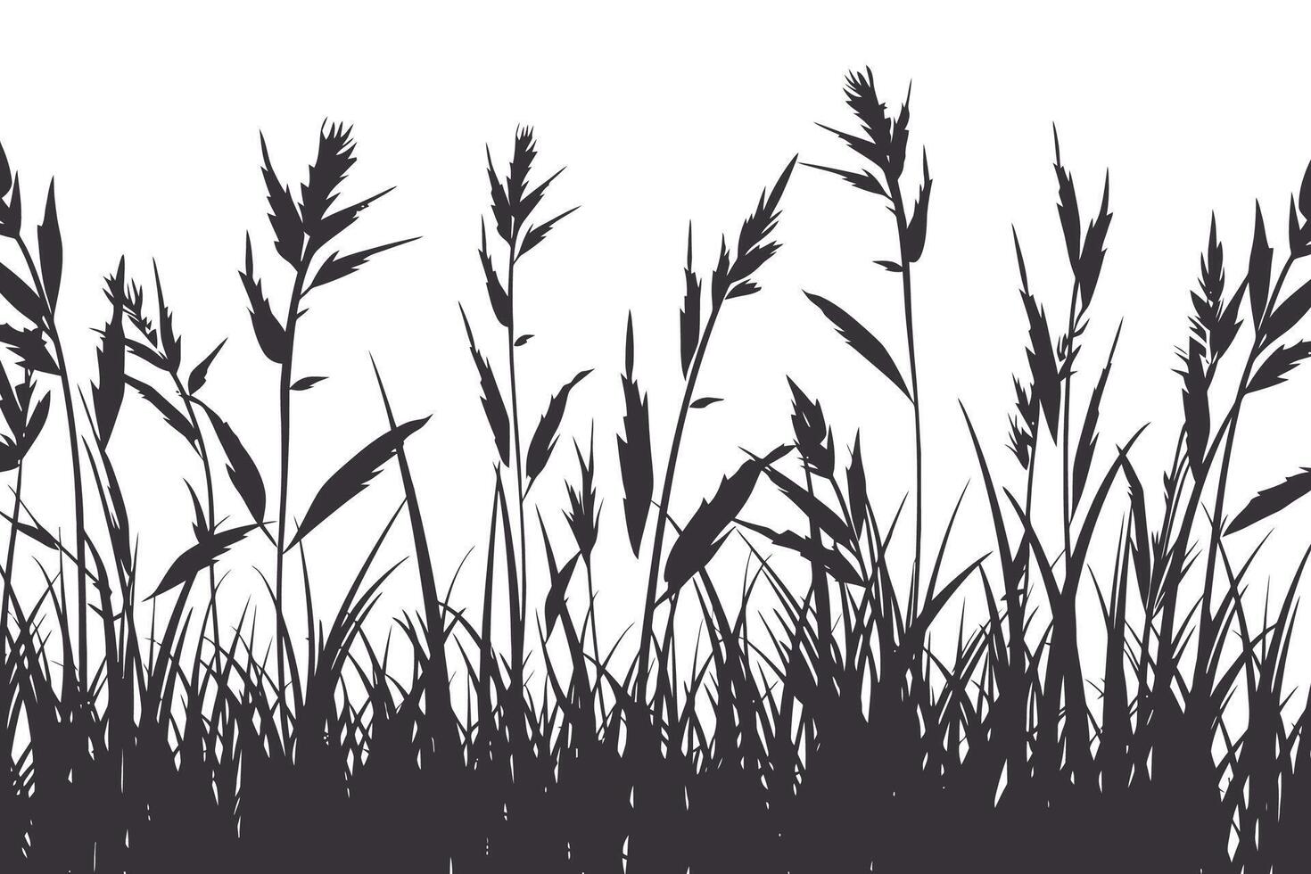 Silhouette of Tall Grasses and Reeds vector
