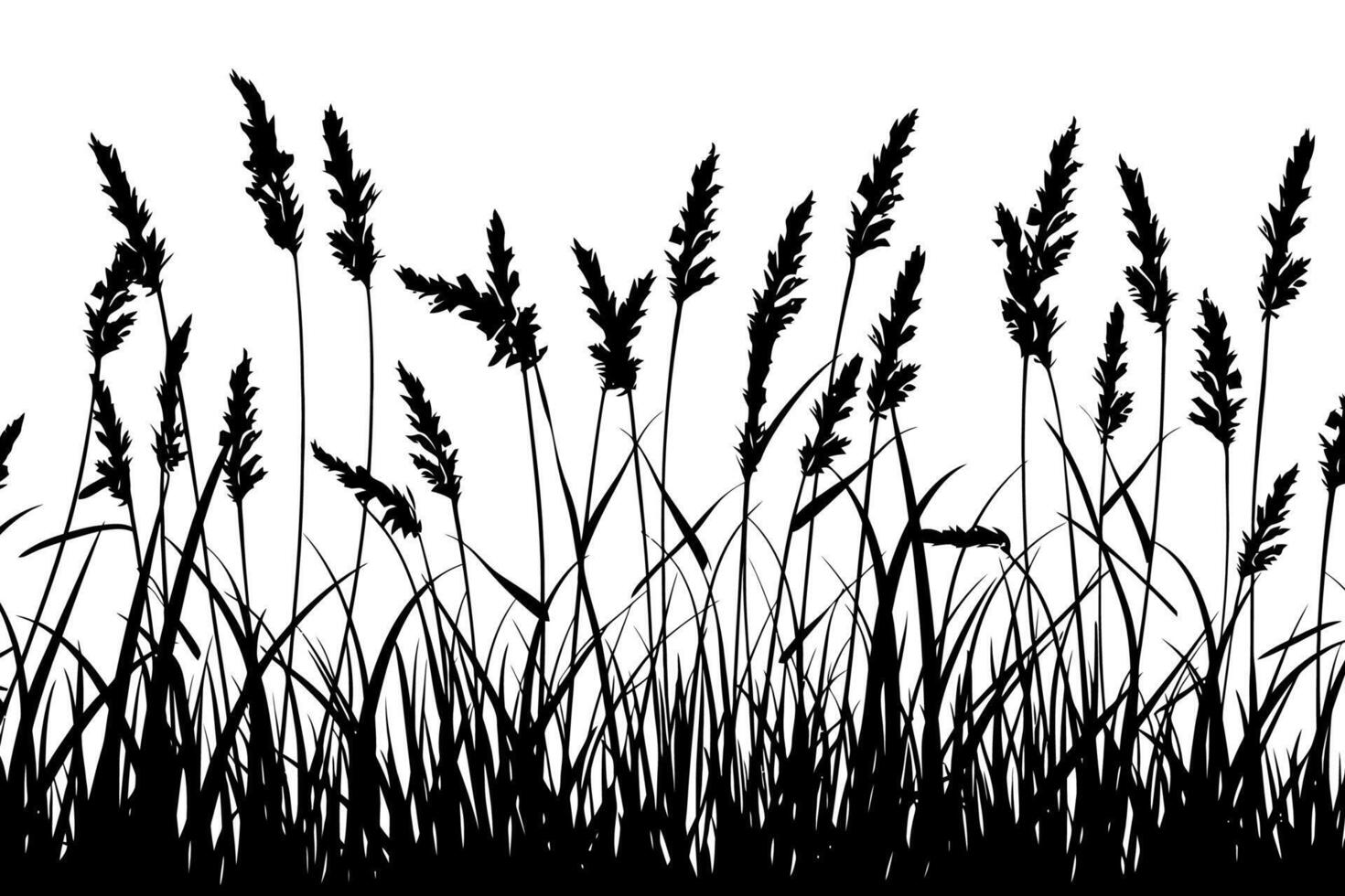 Silhouette of Tall Grasses and Wheat Stalks vector
