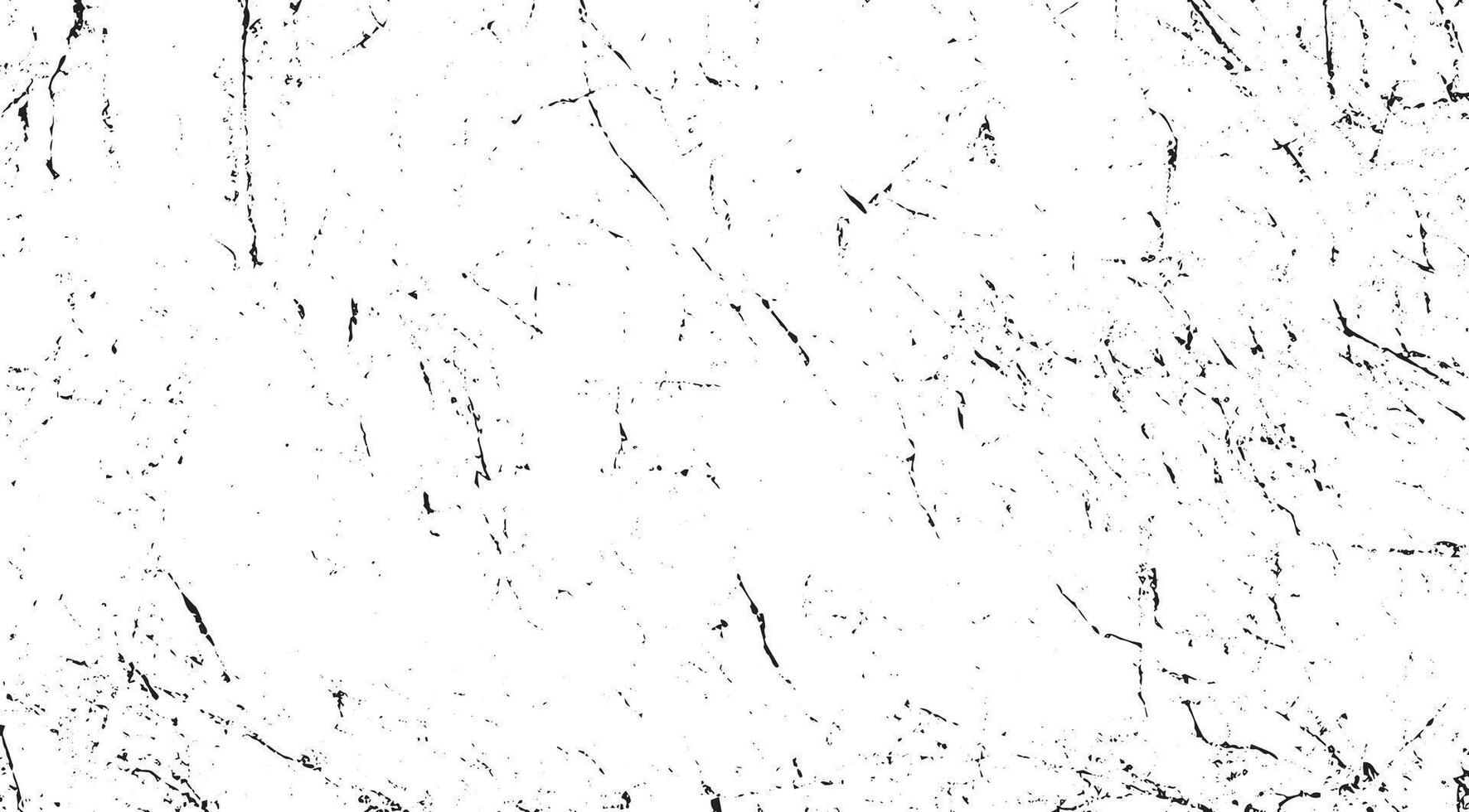 Abstract black and white background. Grunge texture black and white vintage. Texture, creating a design for your background vector