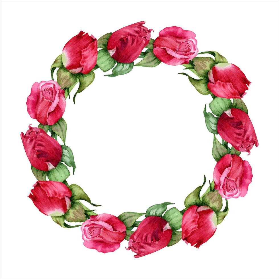 Red roses copy space wreath. Flower buds copy space round frame. Hand drawn watercolor illustration isolated on white background. Floral Valentine's cards, birthday or wedding invitations, prints. vector