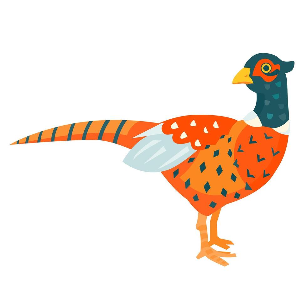 Colorful pheasant funny illustration cartoon style vector